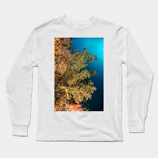 Green soft coral indonesian channel Long Sleeve T-Shirt